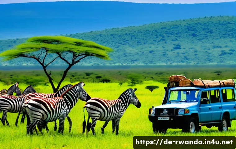 7 Geheimtipps für unvergessliche Safari-Erlebnisse in Ruandas Nationalparks entdecken 3 르완다의 주요 공원 관련 이미지 1